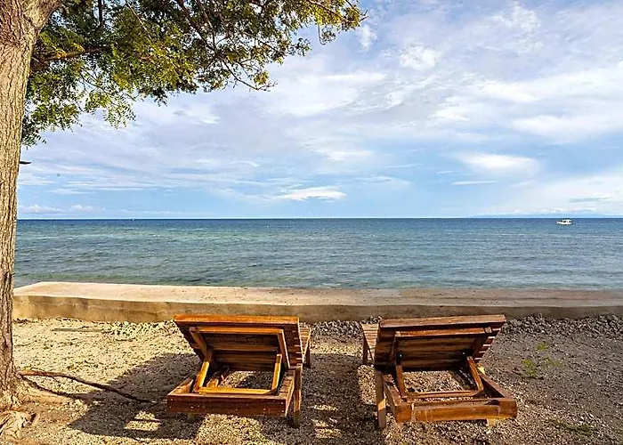 Resort Dive Spot And Brumini Boljoon