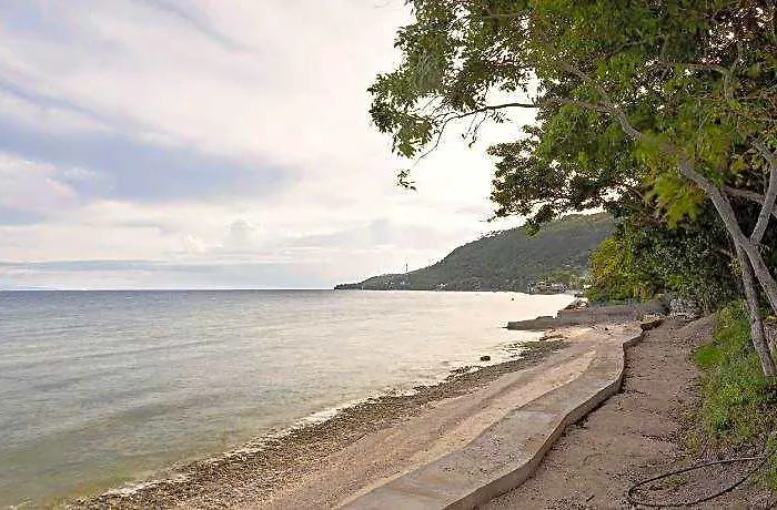 Dive Spot And Brumini Boljoon